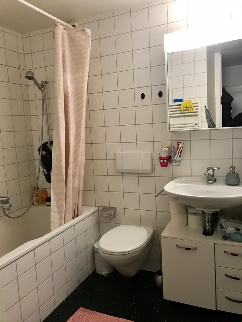 Appartamento di 2 camere con uso di giardino nel popolare quartiere di Marzili (4)