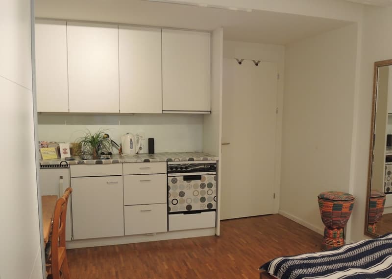 Appartamento di 2 camere con uso di giardino nel popolare quartiere di Marzili (3)