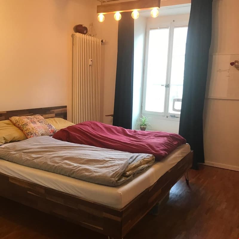 Appartamento di 2 camere con uso di giardino nel popolare quartiere di Marzili (5)