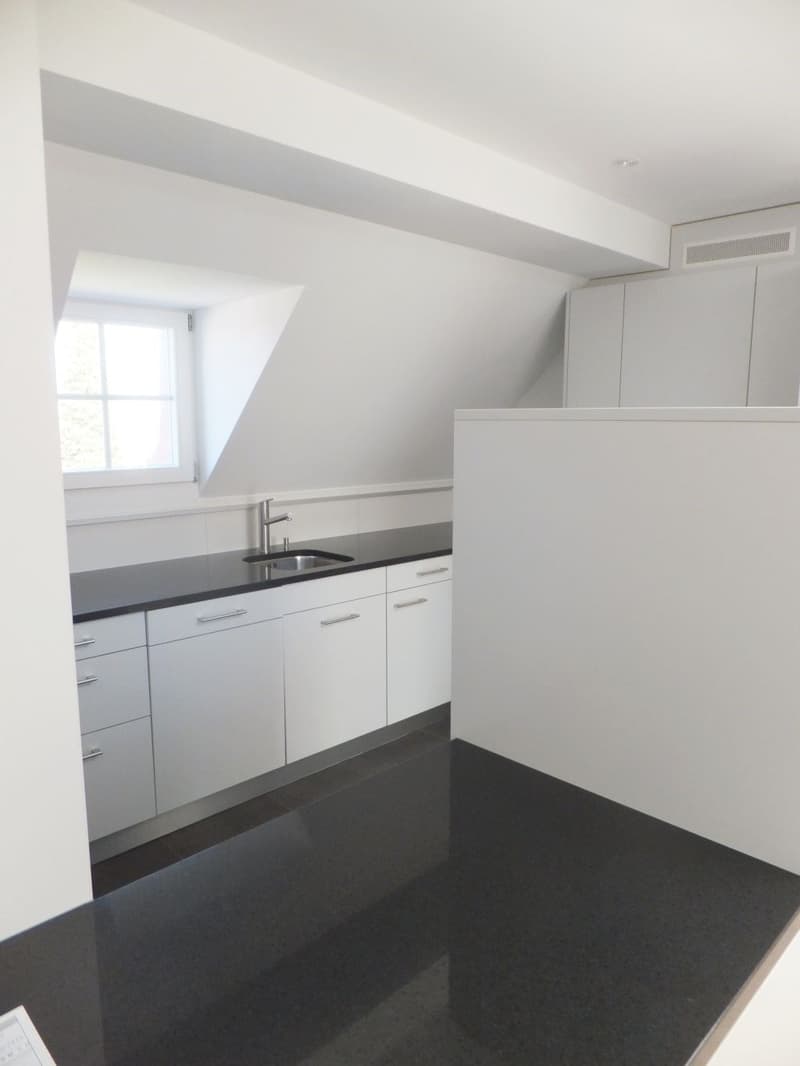 Appartement élégant au dernier étage dans le quartier Kirchenfeld très demandé (1)