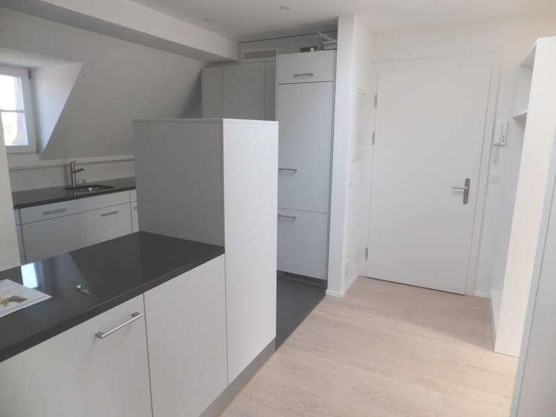Appartement élégant au dernier étage dans le quartier Kirchenfeld très demandé (2)