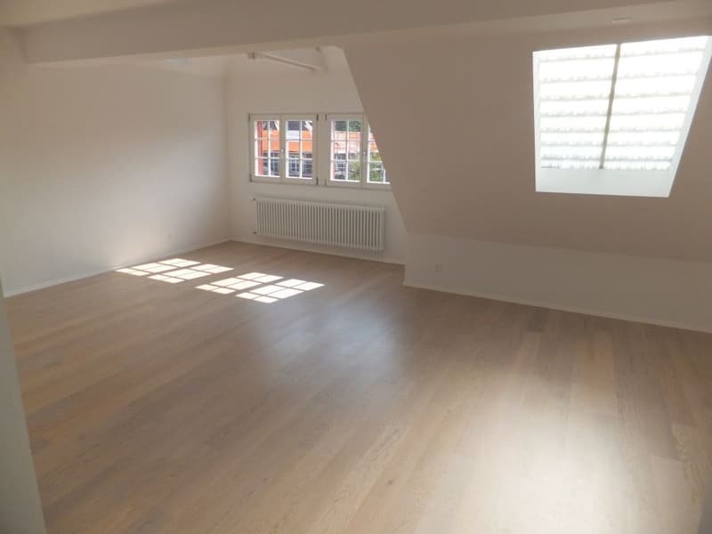 Appartement élégant au dernier étage dans le quartier Kirchenfeld très demandé (3)