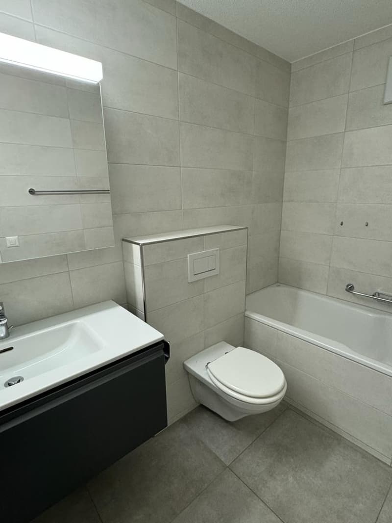 Modern 1.5-room apartment in the Vermont quarter (3)