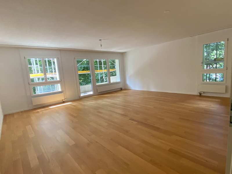 Modern 1.5-room apartment in the Vermont quarter (2)