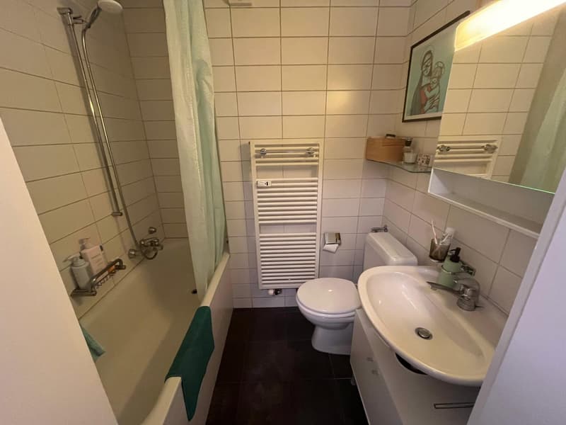 Charmant appartement 2 pièces sur Eigerstrasse à Berne (3)