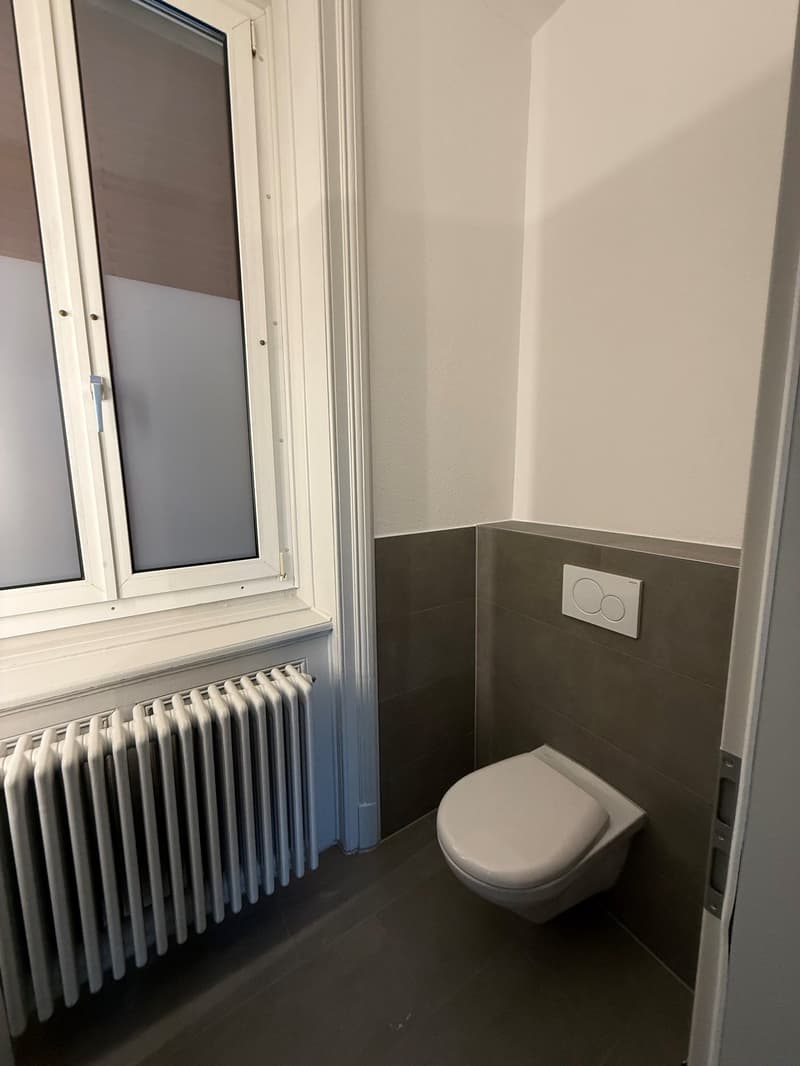 Appartamento di 3,5 locali al piano terra appena ristrutturato a Bern-Schosshalde (10)