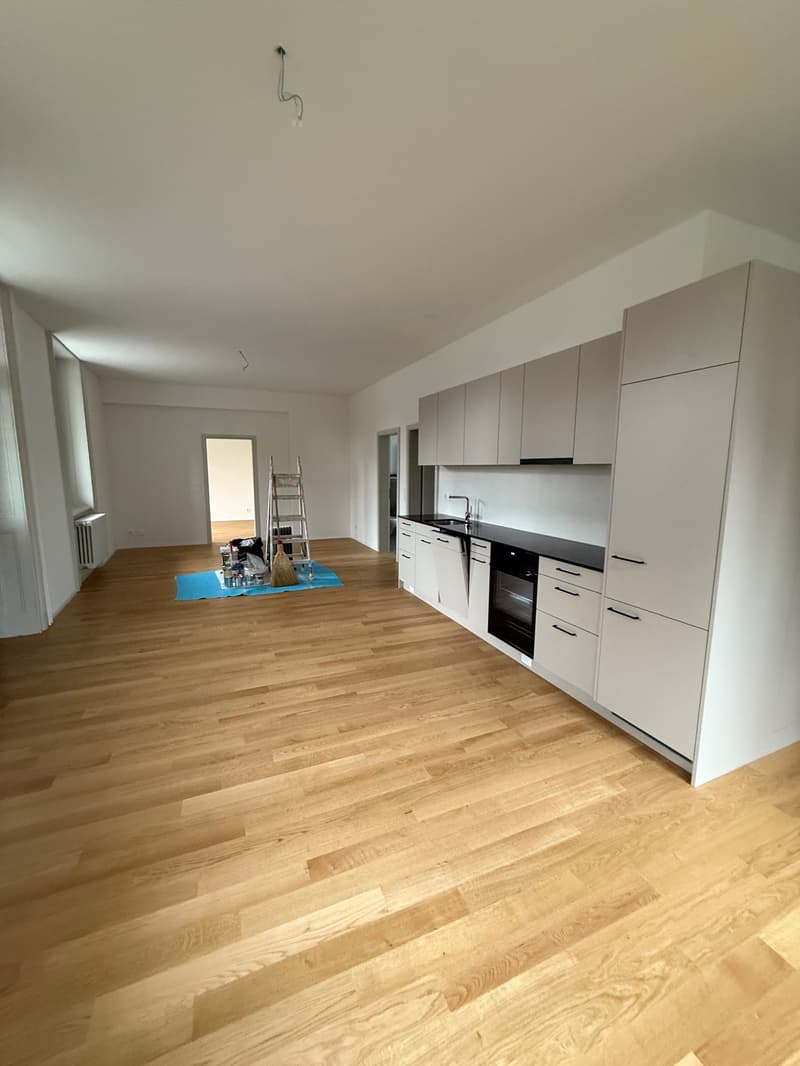 Appartamento di 3,5 locali al piano terra appena ristrutturato a Bern-Schosshalde (5)