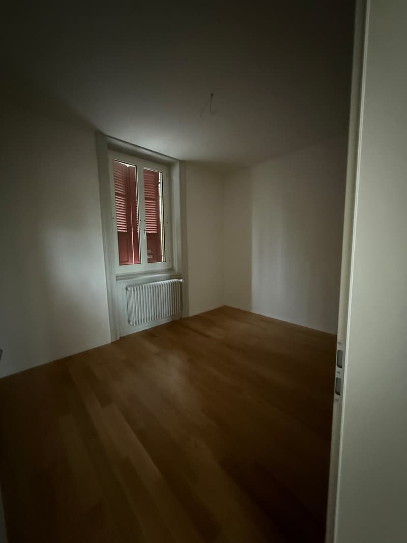 Appartamento di 3,5 locali al piano terra appena ristrutturato a Bern-Schosshalde (8)