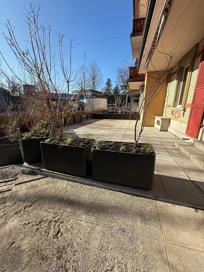 Appartamento di 3,5 locali al piano terra appena ristrutturato a Bern-Schosshalde (2)