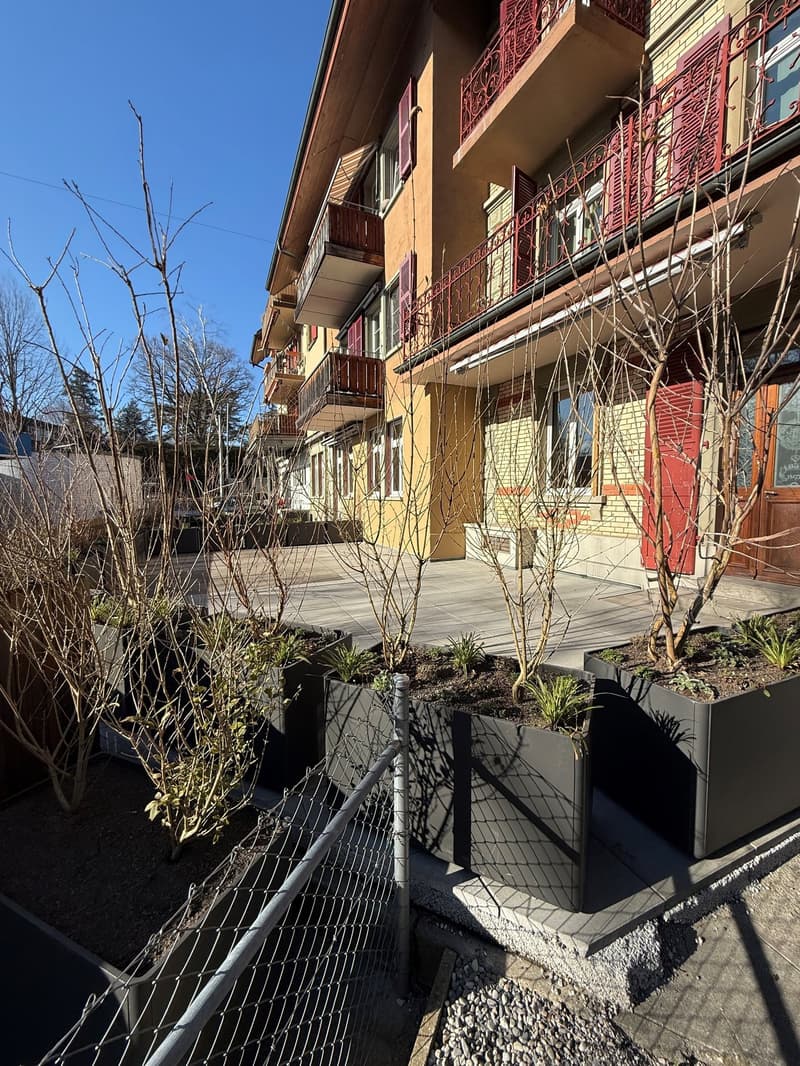 Appartamento di 3,5 locali al piano terra appena ristrutturato a Bern-Schosshalde (1)