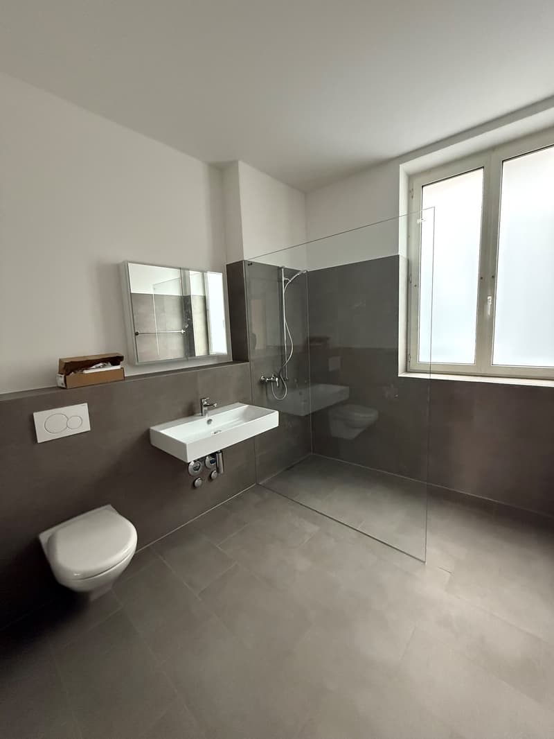 Appartamento di 3,5 locali al piano terra appena ristrutturato a Bern-Schosshalde (9)