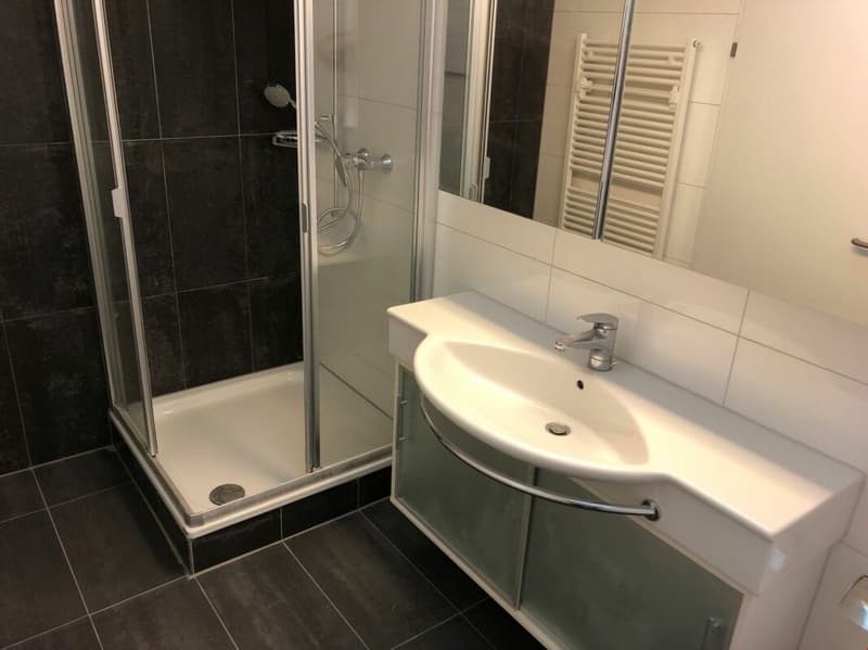 Elegante 3.5-Zimmerwohnung nahe Botschaftsviertel (7)