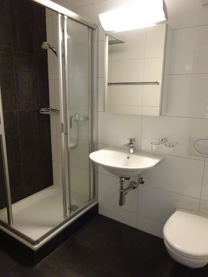 Elegante 4 1/2-Zimmerwohnung im Ostring (8)