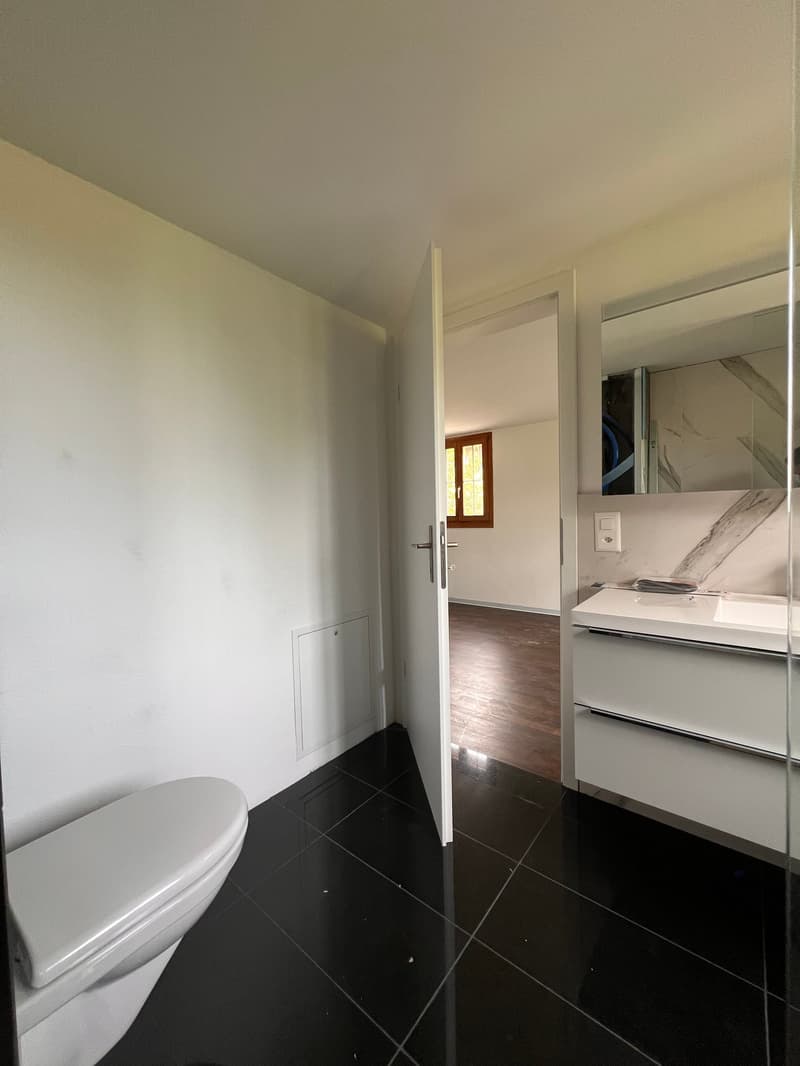 Erstvermietung 2-Zimmer-Wohnung in Pfäffikon SZ – ab 15.09.2026 verfügbar! (9)