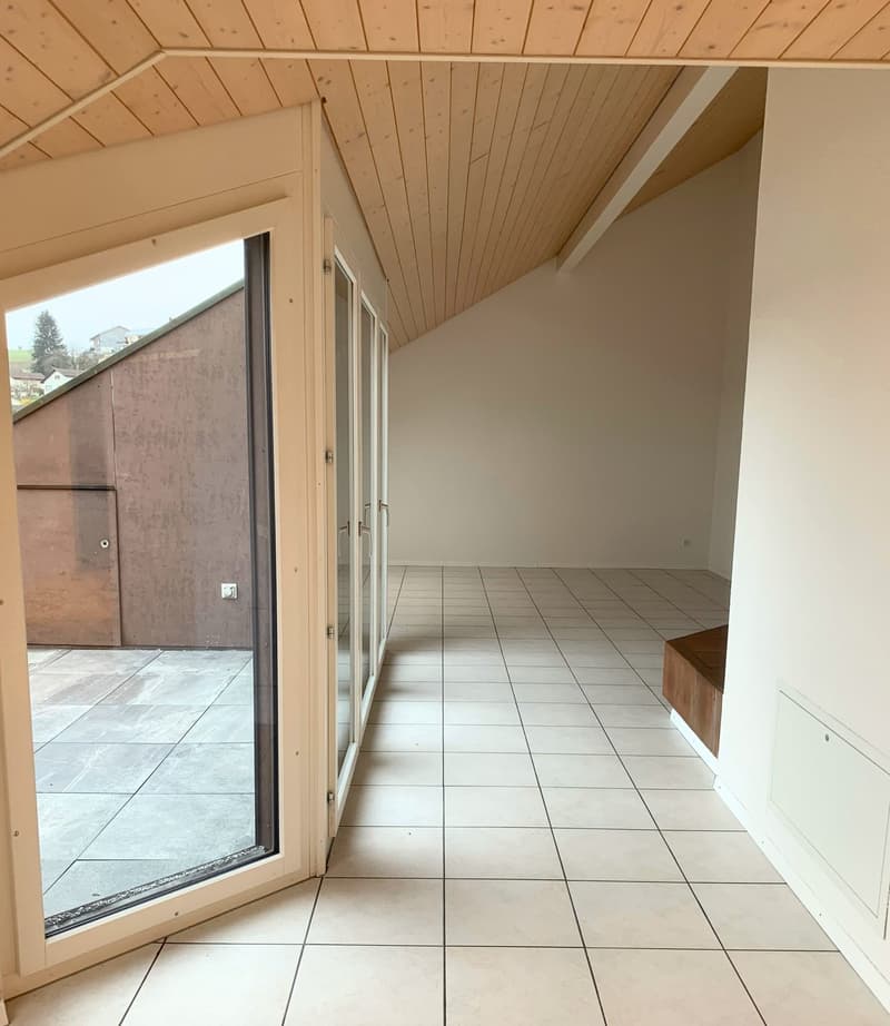 Beautiful attic apartment with chimney, quiet and yet central (7)