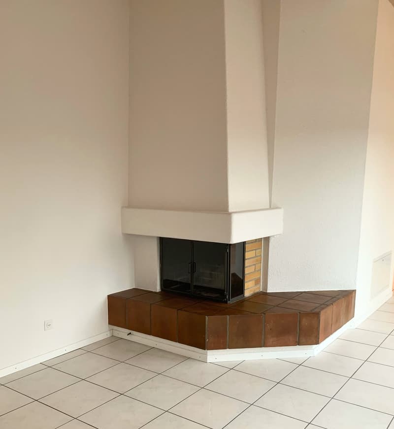 Beautiful attic apartment with chimney, quiet and yet central (6)
