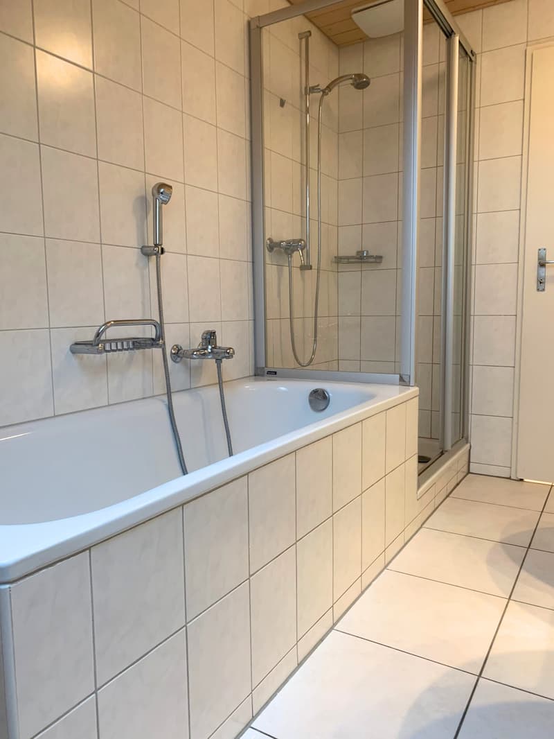 Beautiful attic apartment with chimney, quiet and yet central (12)