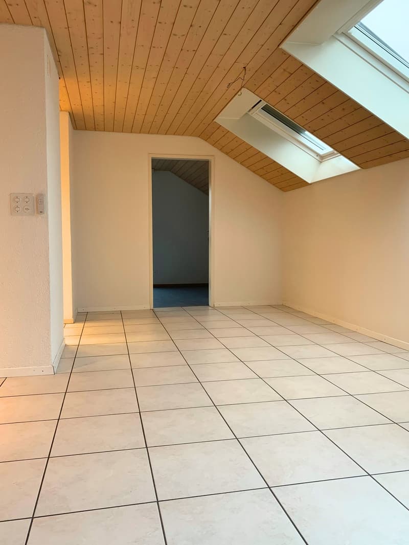 Beautiful attic apartment with chimney, quiet and yet central (10)