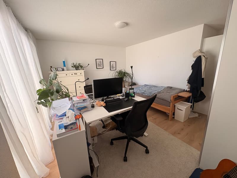 Attractive 4.5-room apartment in a central and quiet location (7)