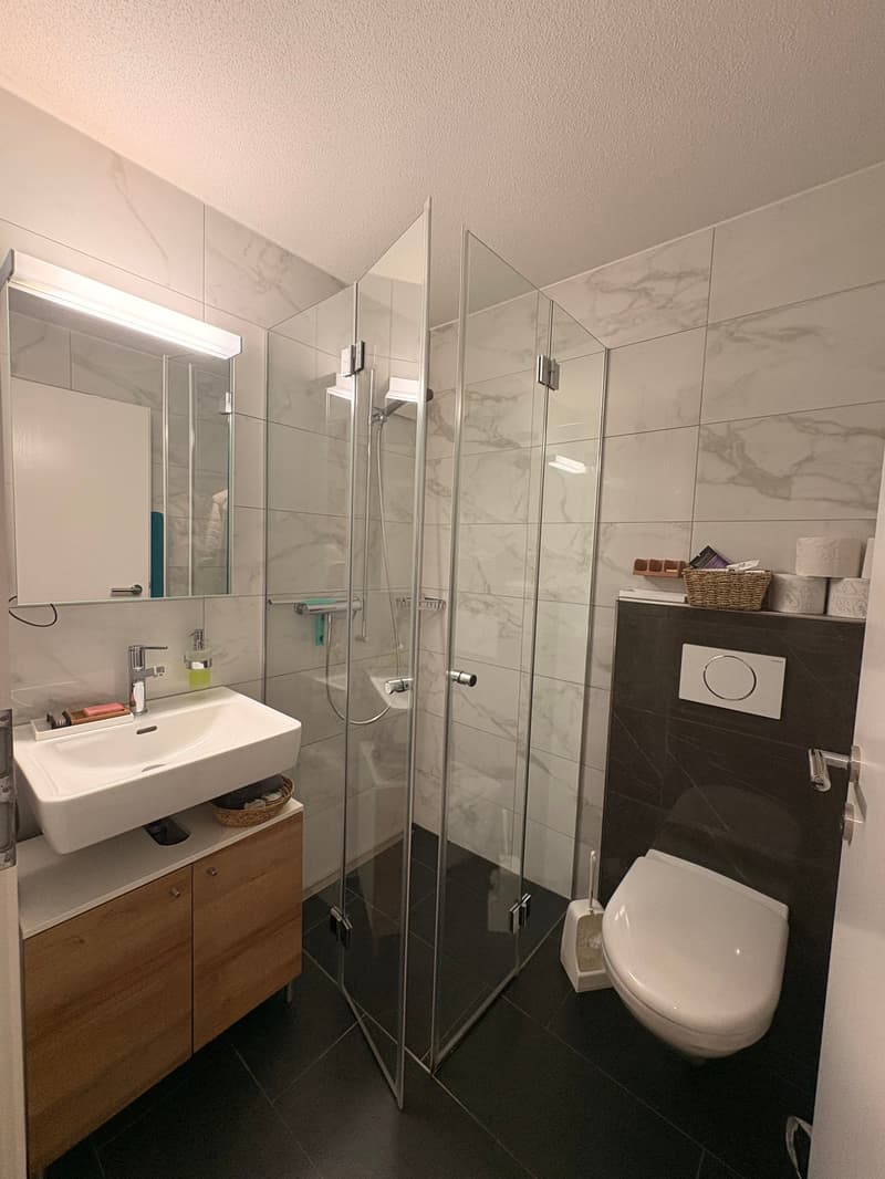Attractive 4.5-room apartment in a central and quiet location (10)