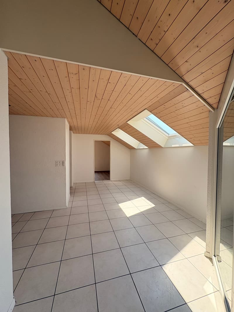 Appartement mansardé charmant et abordable avec cheminée, calme et pourtant central (11)