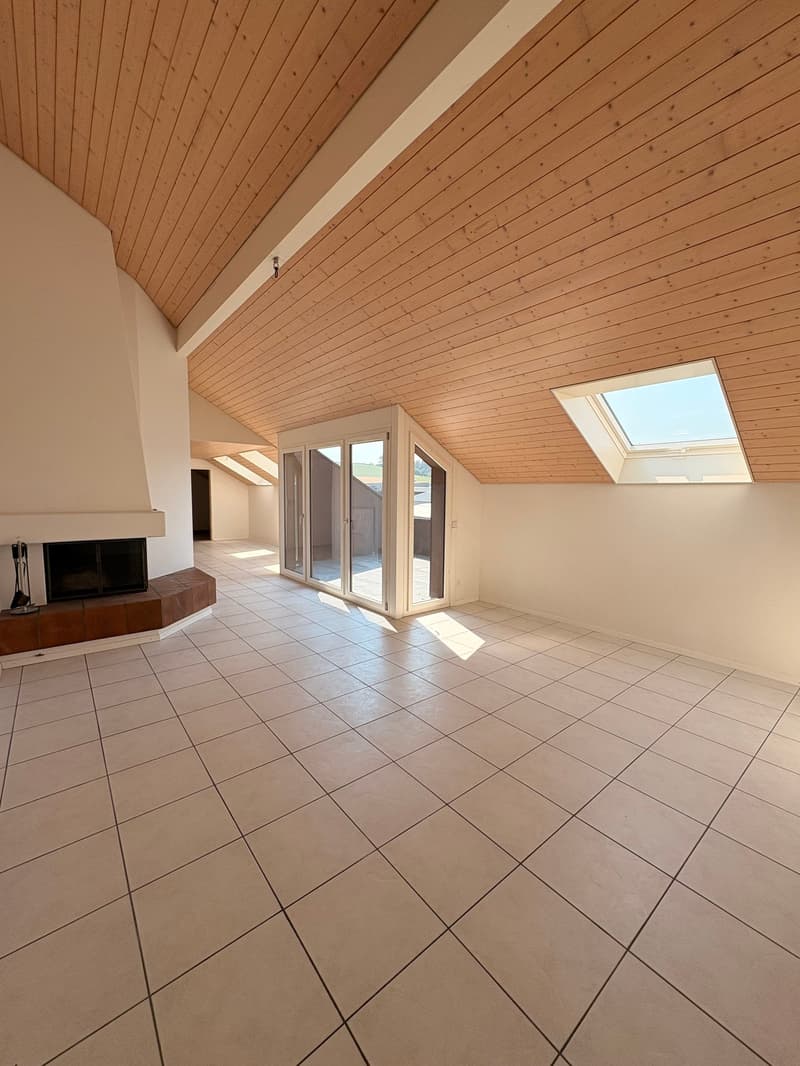 Appartement mansardé charmant et abordable avec cheminée, calme et pourtant central (4)