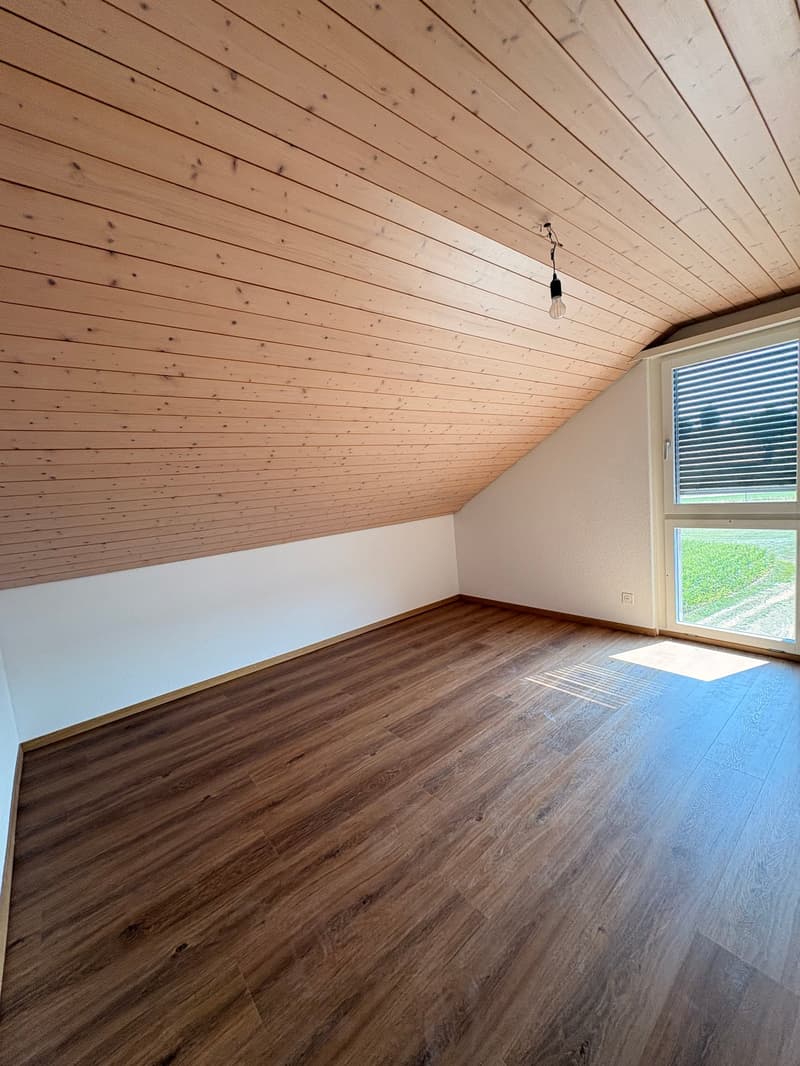 Appartement mansardé charmant et abordable avec cheminée, calme et pourtant central (21)