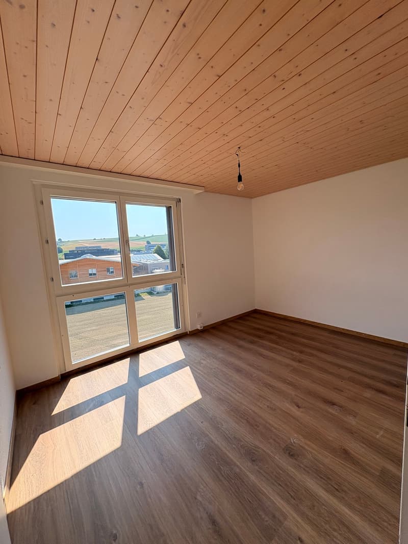 Appartement mansardé charmant et abordable avec cheminée, calme et pourtant central (22)