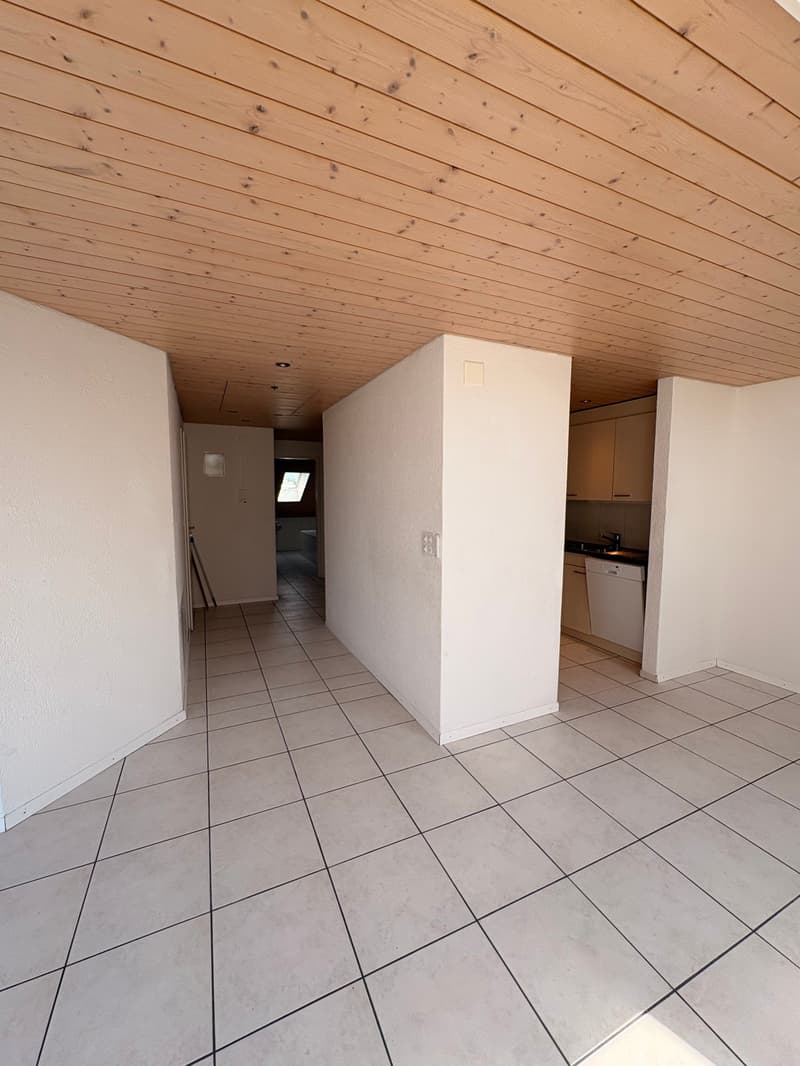 Appartement mansardé charmant et abordable avec cheminée, calme et pourtant central (12)