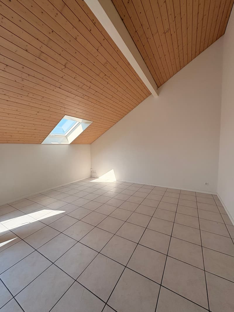 Appartement mansardé charmant et abordable avec cheminée, calme et pourtant central (5)
