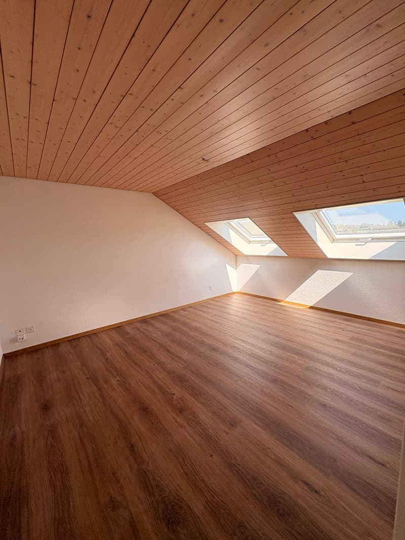 Appartement mansardé charmant et abordable avec cheminée, calme et pourtant central (16)