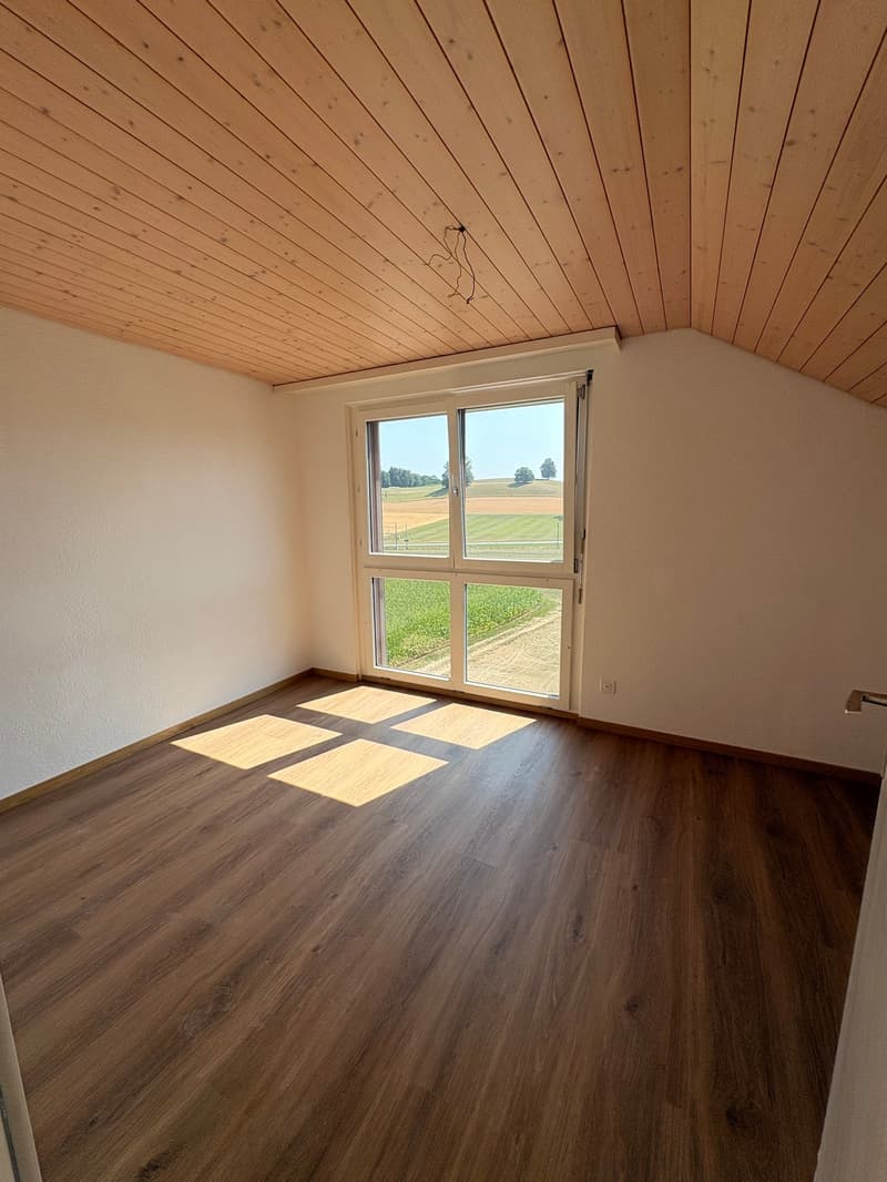 Appartement mansardé charmant et abordable avec cheminée, calme et pourtant central (13)