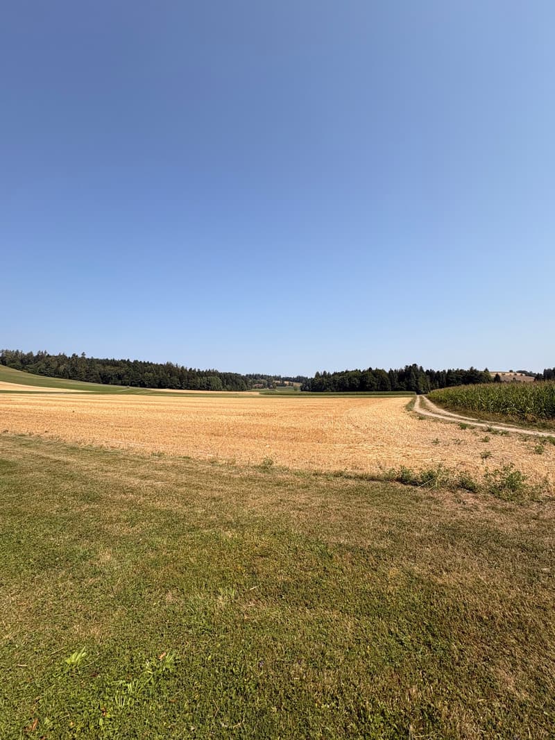 Appartement mansardé charmant et abordable avec cheminée, calme et pourtant central (3)