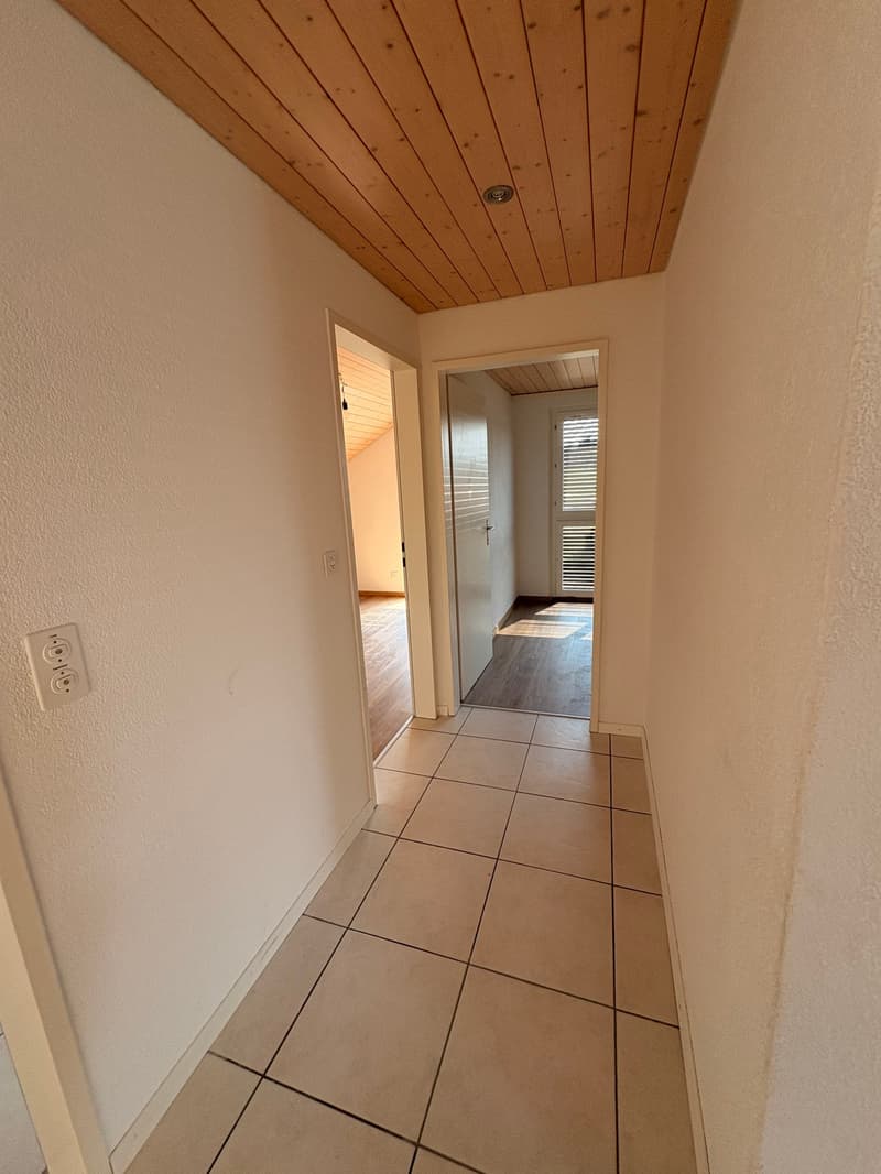 Wunderschöne preisgünstige Dachwohnung mit Cheminée, ruhig und doch zentral (20)
