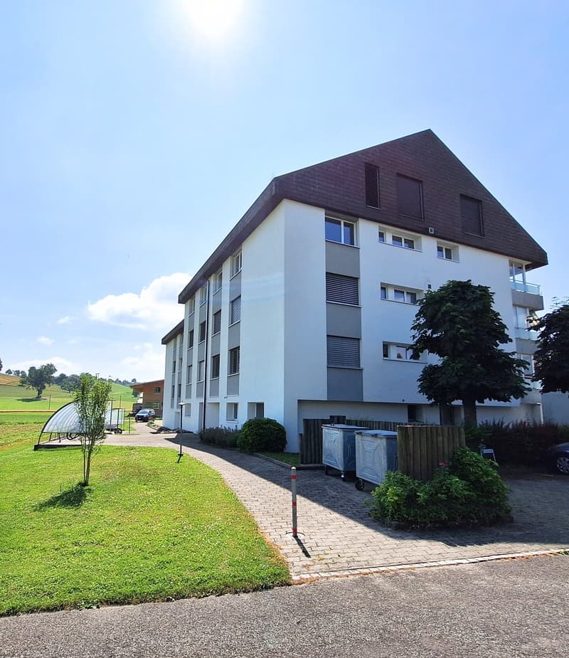 Wunderschöne preisgünstige Dachwohnung mit Cheminée, ruhig und doch zentral (2)
