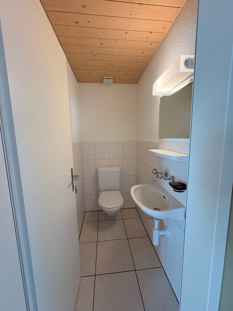 Wunderschöne preisgünstige Dachwohnung mit Cheminée, ruhig und doch zentral (14)