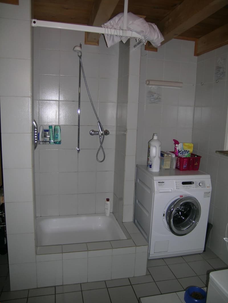 Bad / Dusche /WC / Waschküche