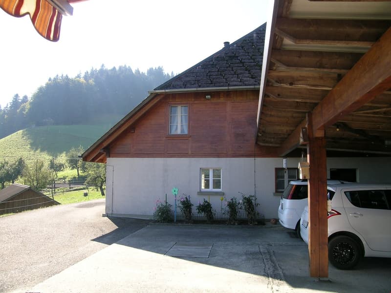 Autounterstand hinter dem Haus