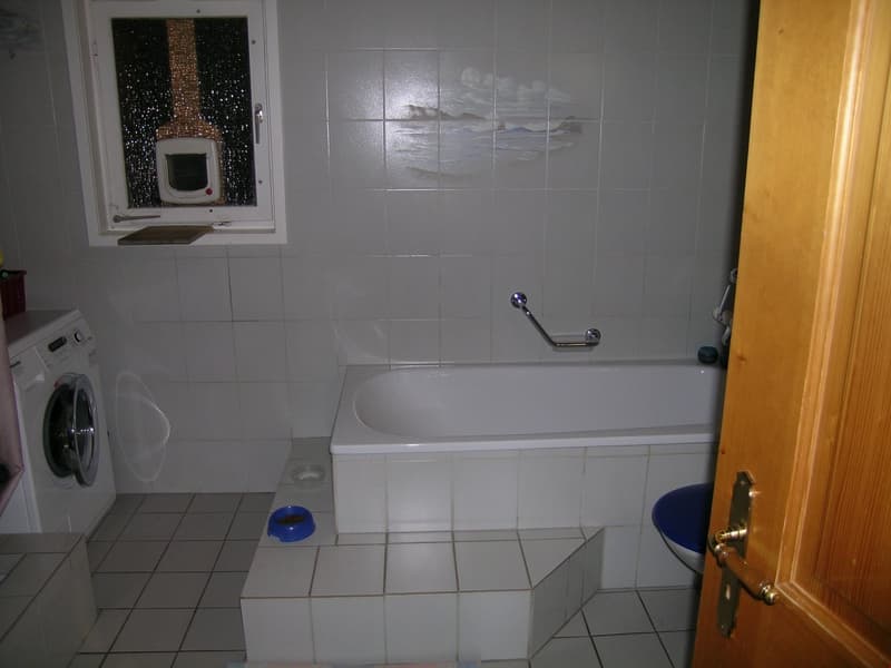 Badewanne mit Einstieg (Fenster in Schopf)