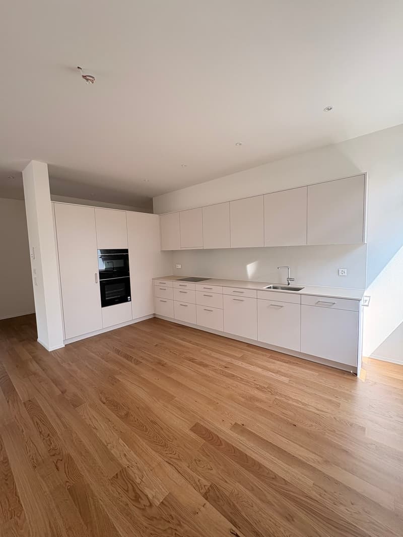 Aussergewöhnliche Wohnung mit viel Platz und Nutzungsmöglichkeiten (3)