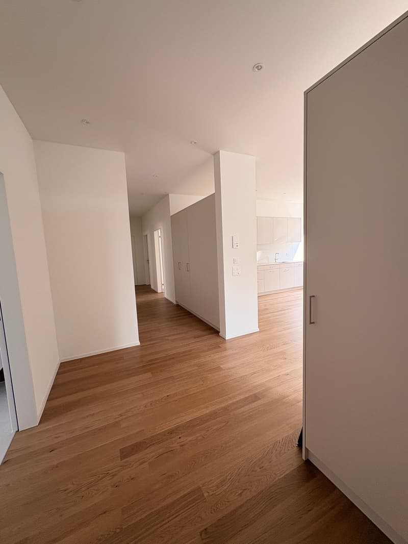 Aussergewöhnliche Wohnung mit viel Platz und Nutzungsmöglichkeiten (5)