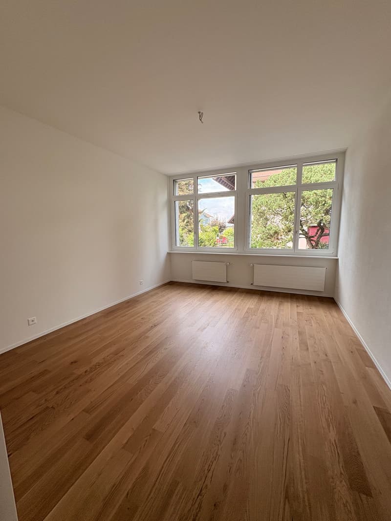 Aussergewöhnliche Wohnung mit viel Platz und Nutzungsmöglichkeiten (7)