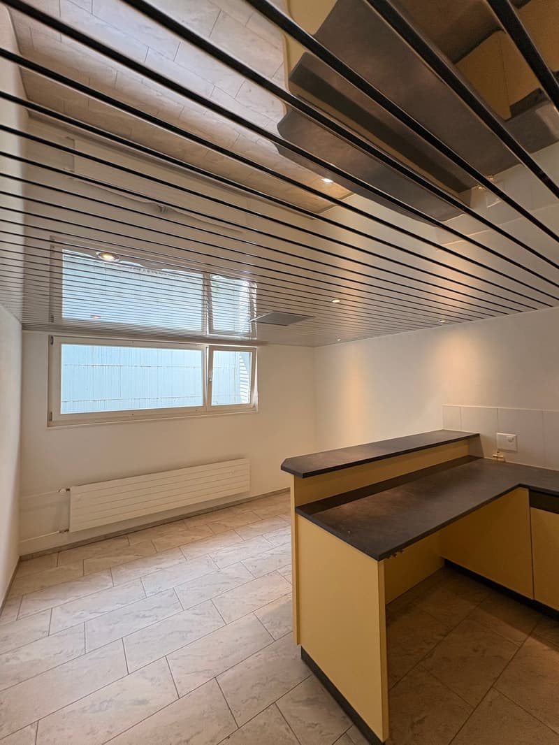 Aussergewöhnliche Wohnung mit viel Platz und Nutzungsmöglichkeiten (21)