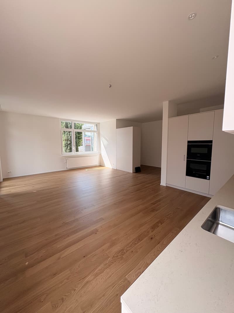 Aussergewöhnliche Wohnung mit viel Platz und Nutzungsmöglichkeiten (2)