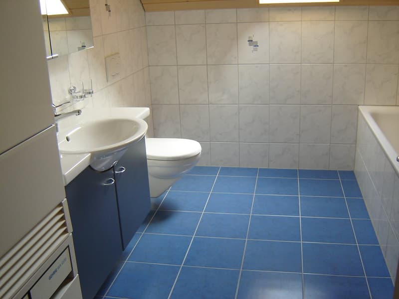 Charmante 2.5-Zimmer-Dachwohnung mit Galerie in Dürrenroth (8)