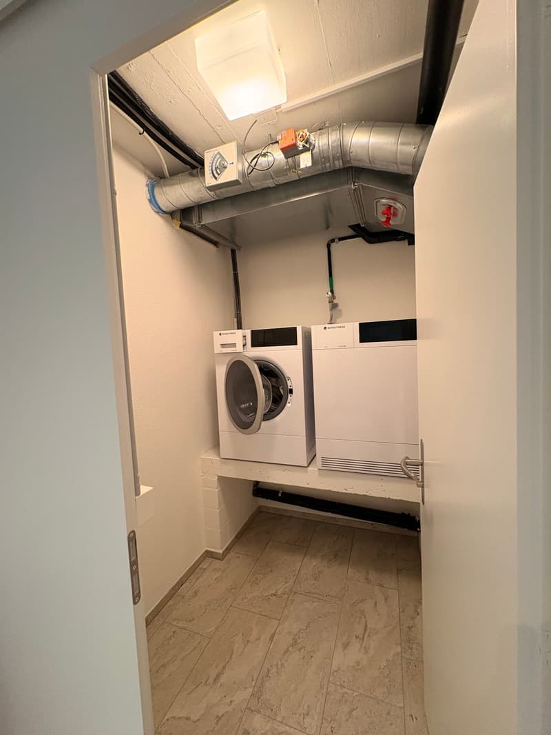 Aussergewöhnliche Wohnung mit viel Platz und Nutzungsmöglichkeiten (18)