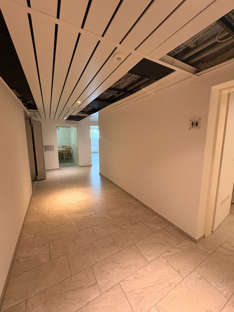 Aussergewöhnliche Wohnung mit viel Platz und Nutzungsmöglichkeiten (13)