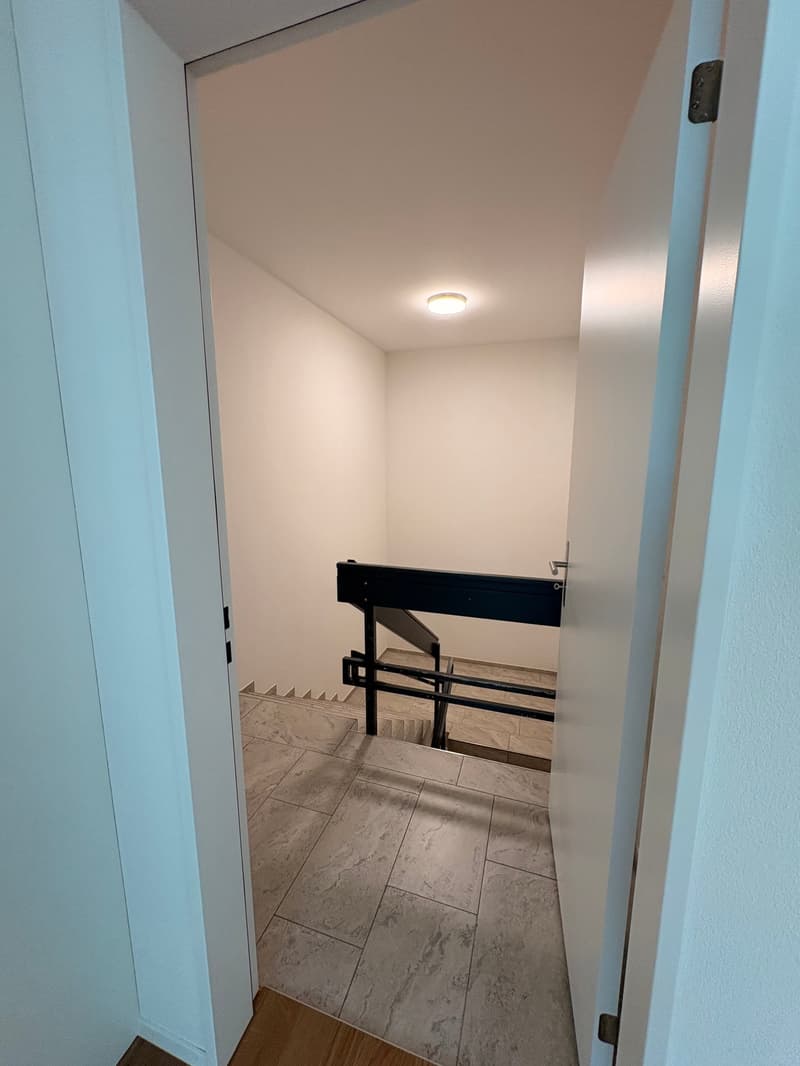 Aussergewöhnliche Wohnung mit viel Platz und Nutzungsmöglichkeiten (11)