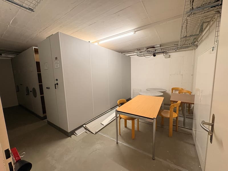 Aussergewöhnliche Wohnung mit viel Platz und Nutzungsmöglichkeiten (17)