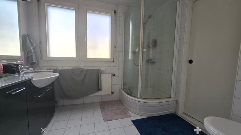 Badzimmer mit Dusche